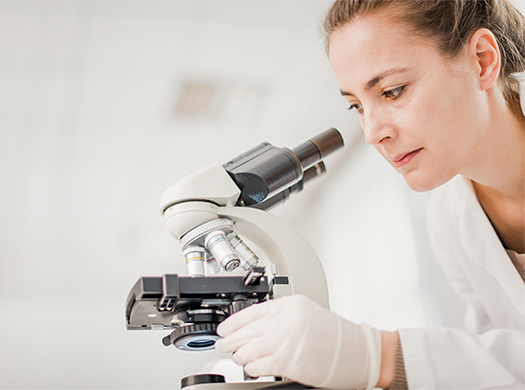 Researchers & Academics